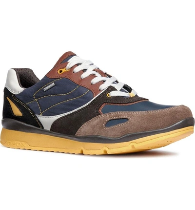 Geox Sandford Abx 1 Waterproof Low Top Sneaker In Chocolate/ Navy Leather |  ModeSens