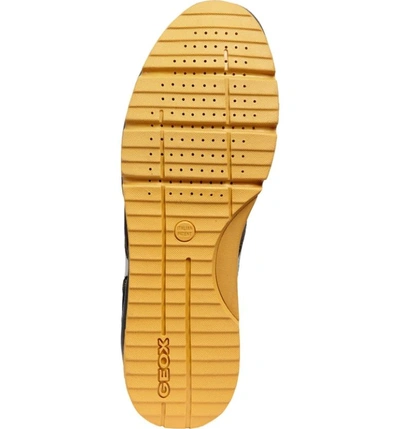 Geox Sandford Abx 1 Waterproof Low Top Sneaker In Chocolate/ Navy Leather |  ModeSens