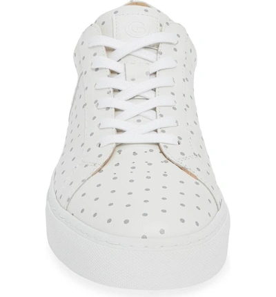Shop Greats Royale Dots Low Top Sneaker In White W/ 3m Dots