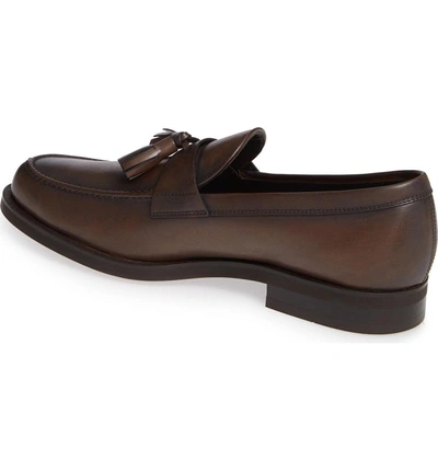 Shop Tod's Tassel Loafer In Cocoa