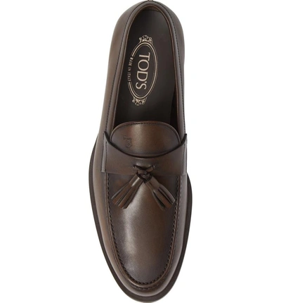 Shop Tod's Tassel Loafer In Cocoa