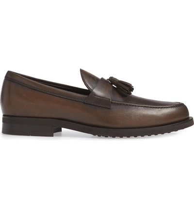 Shop Tod's Tassel Loafer In Cocoa