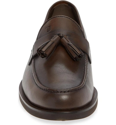 Shop Tod's Tassel Loafer In Cocoa