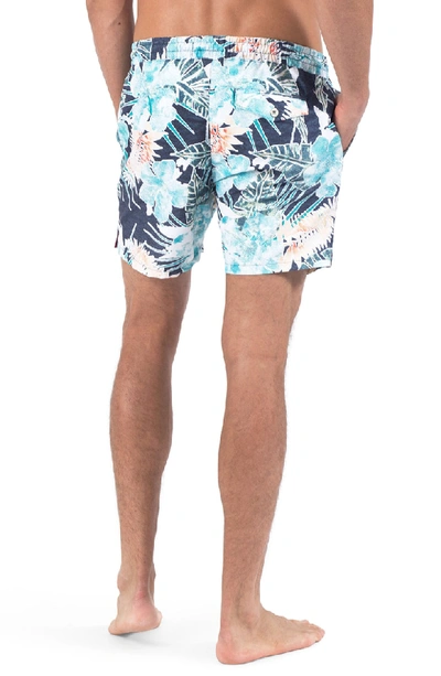 Shop Sol Angeles Botanica Verde Swim Shorts