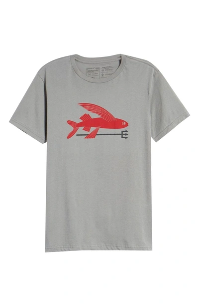 Shop Patagonia Flying Fish Regular Fit Organic Cotton T-shirt In Feather Grey