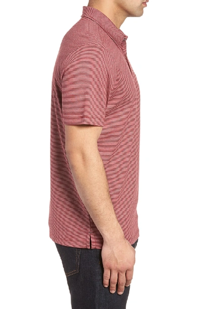 Shop Tommy Bahama Pacific Shore Polo In Beet Red Heather