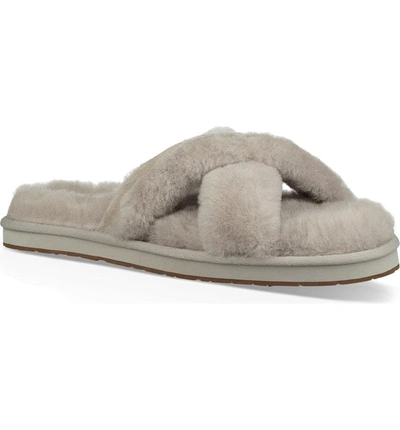 Shop Ugg Abela Genuine Shearling Flip Flop In Willow Wool