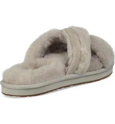 Shop Ugg Abela Genuine Shearling Flip Flop In Willow Wool