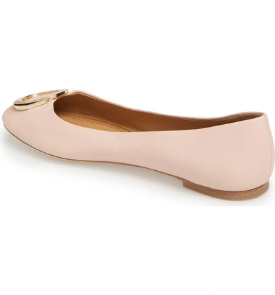 Shop Tory Burch Caterina Ballet Flat In Sea Shell Pink