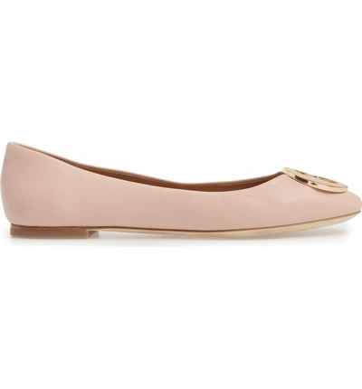 Shop Tory Burch Caterina Ballet Flat In Sea Shell Pink