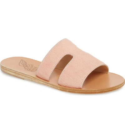 Shop Ancient Greek Sandals Apteros Genuine Calf Hair Slide Sandal In Pink Pony