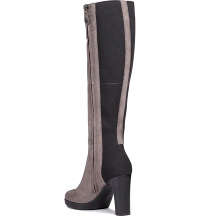 Shop Geox Annya Knee High Boot In Chestnut Suede