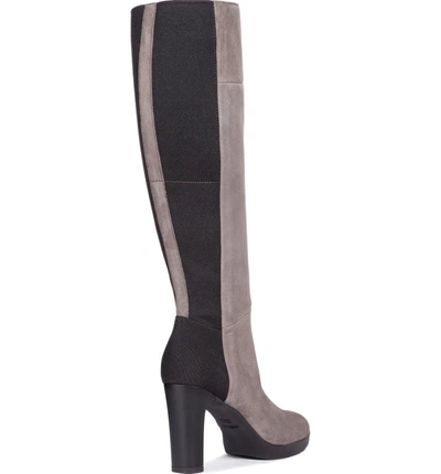 Geox Annya Knee High Boot In Chestnut Suede | ModeSens