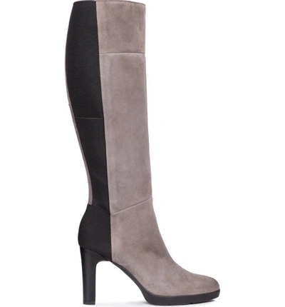 Shop Geox Annya Knee High Boot In Chestnut Suede