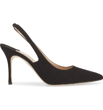 Shop Manolo Blahnik Allura Slingback Pointed Toe Pump In Black Suede