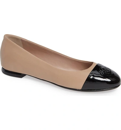 Shop Taryn Rose Rosa Ballet Flat In Black/ Nude