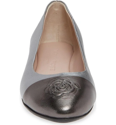 Shop Taryn Rose Rosa Ballet Flat In Silver