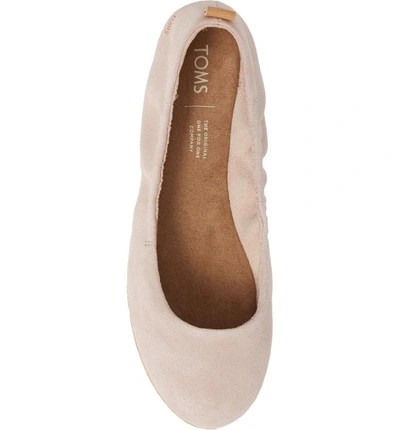 Shop Toms Olivia Ballet Flat In Blush Suede