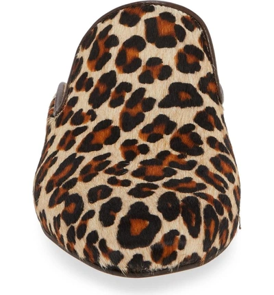 Shop Matisse Lacy Genuine Calf Hair Mule In Beige Leopard