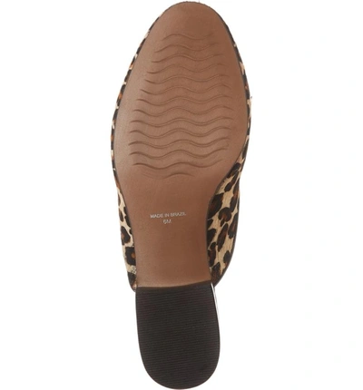 Shop Matisse Lacy Genuine Calf Hair Mule In Beige Leopard