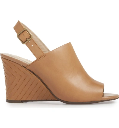 Shop Seychelles Abyssal Wedge Sandal In Tan Leather