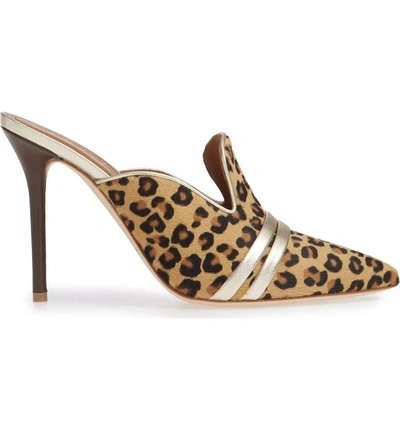 Shop Malone Souliers Hayley Double Band Genuine Calf Hair Mule In Leopard/ Silver