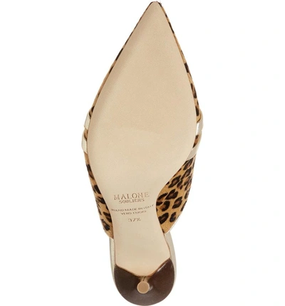 Shop Malone Souliers Hayley Double Band Genuine Calf Hair Mule In Leopard/ Silver