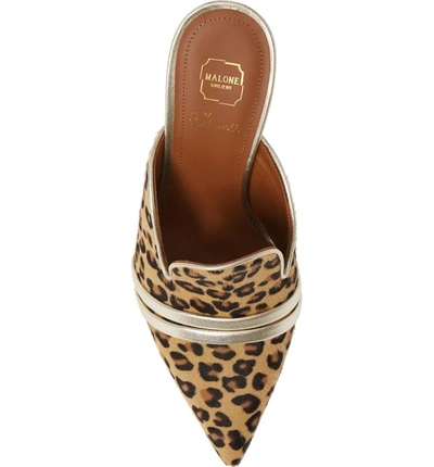 Shop Malone Souliers Hayley Double Band Genuine Calf Hair Mule In Leopard/ Silver