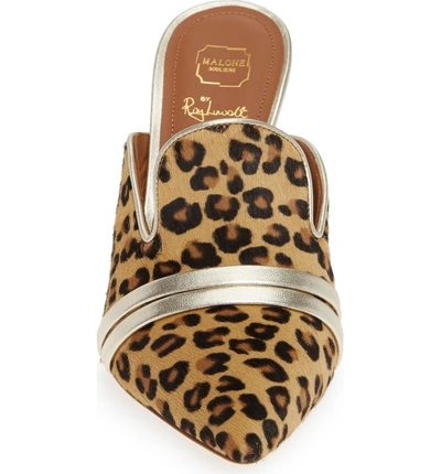 Shop Malone Souliers Hayley Double Band Genuine Calf Hair Mule In Leopard/ Silver