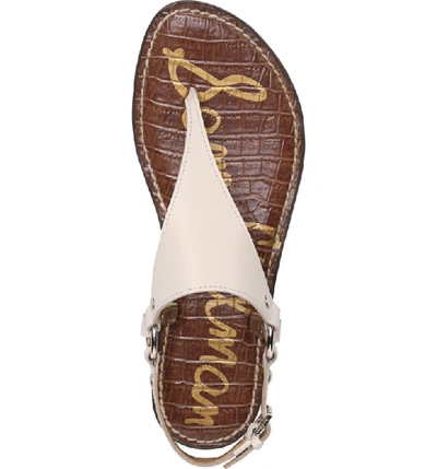Shop Sam Edelman Greta Sandal In Modern Ivory Leather