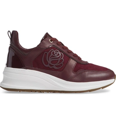 Shop Taryn Rose Zadie Sneaker In Fig Leather