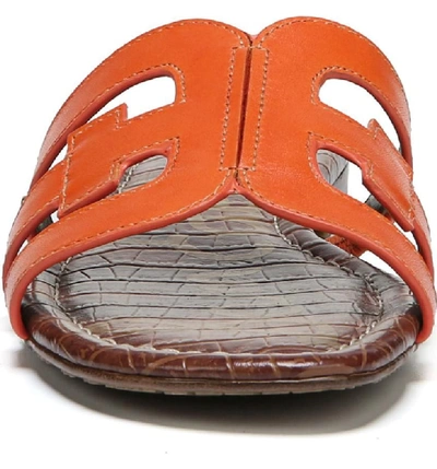 Shop Sam Edelman Bay Cutout Slide Sandal In Tangelo Leather