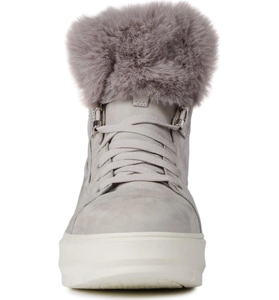 Shop Geox Kaula Abx Waterproof Faux-fur Cuff Sneaker In Light Grey