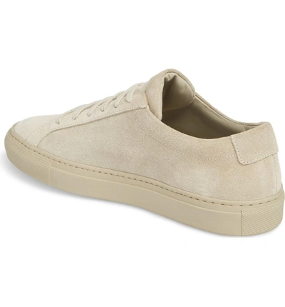 Shop Common Projects Original Achilles Low Top Sneaker In Taupe Suede