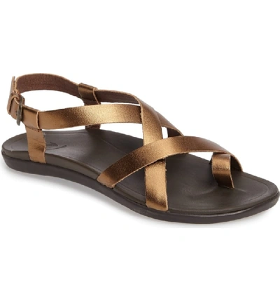 Shop Olukai 'upena' Flat Sandal In Bronze Leather