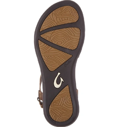 Shop Olukai 'upena' Flat Sandal In Bronze Leather