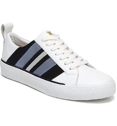 Shop Diane Von Furstenberg Tess Lace-up Sneaker In White/ Blue