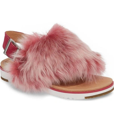 Shop Ugg Holly Genuine Shearling Sandal In Cerise