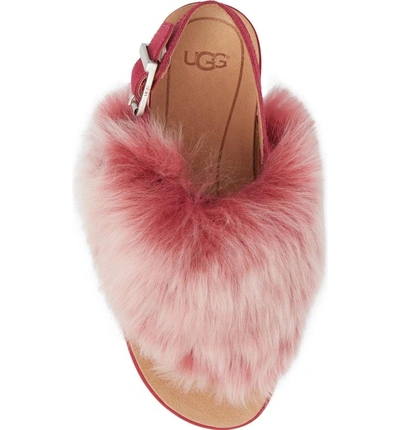 Shop Ugg Holly Genuine Shearling Sandal In Cerise