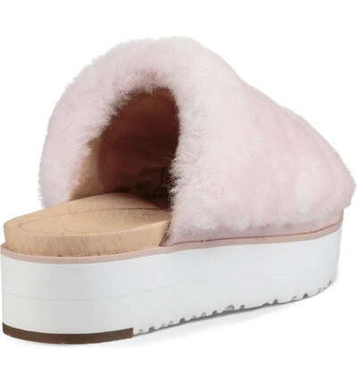 Shop Ugg Fluff Yeah Genuine Shearling Slide Sandal In Seashell Pink