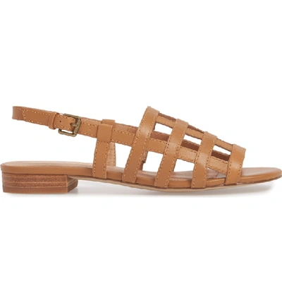 Shop Madewell Rowan Cage Sandal In Amber Brown Leather