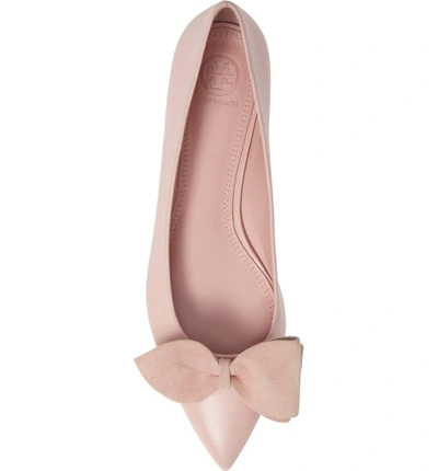 Shop Tory Burch Rosalind Bow Pointy Toe Flat In Sea Shell Pink