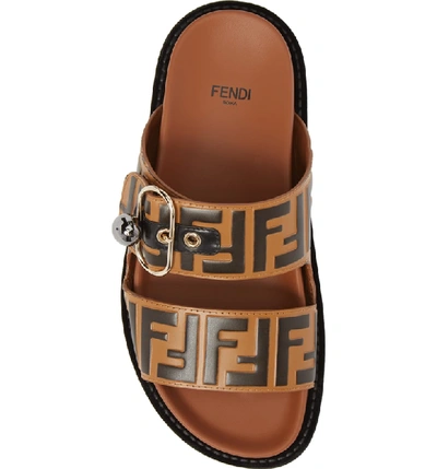 Shop Fendi Pearland Logo Slide Sandal In Brown