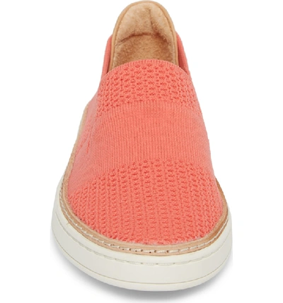Shop Ugg Sammy Sneaker In Vibrant Coral