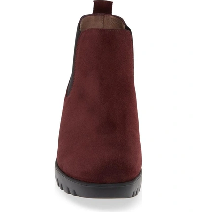 Shop Wonders Slip-on Chelsea Boot In Vino Suede