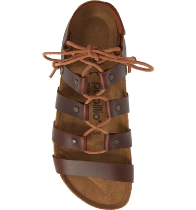 Shop Birkenstock Cleo Gladiator Sandal In Cognac Leather