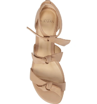 Shop Alexandre Birman Lolita Sandal In Nude