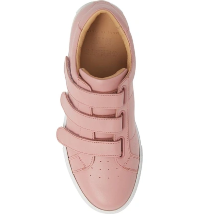 Shop Greats Royale Low Top Sneaker In Pink