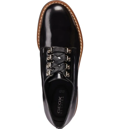Geox Adrya Oxford In Black/ Beige Leather | ModeSens