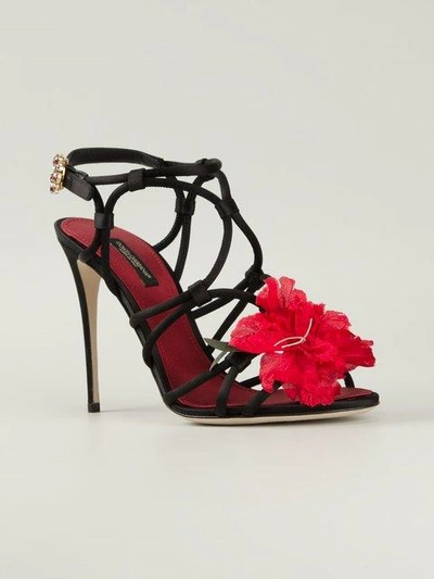 Shop Dolce & Gabbana Flower Strappy Sandals